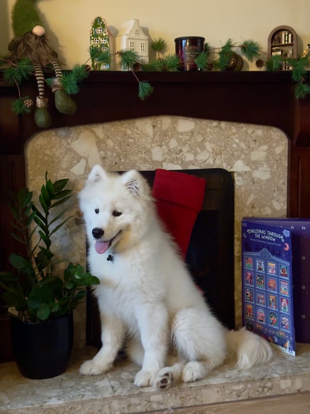 Casper sitting in front of a fireplace