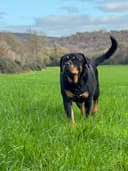 Headshot of a customer with their pet