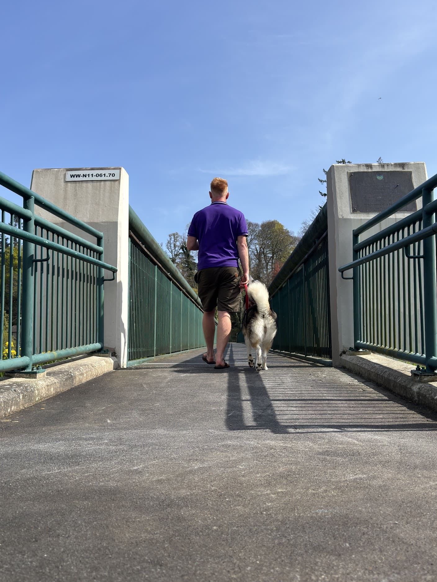 Lola enjoying a neighbourhood walk