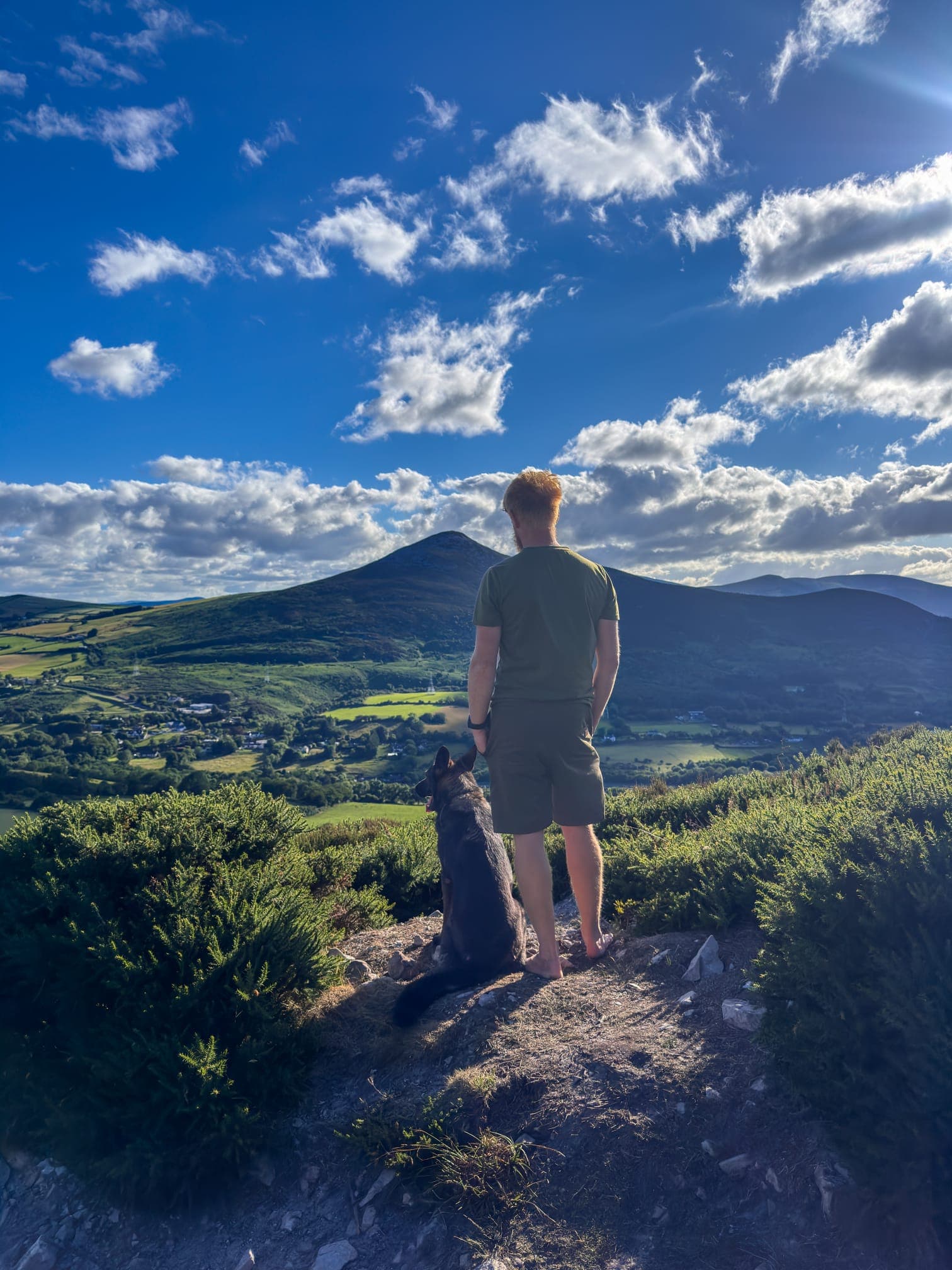 Happy dog enjoying a calm outdoor session with Jeroen & Paws