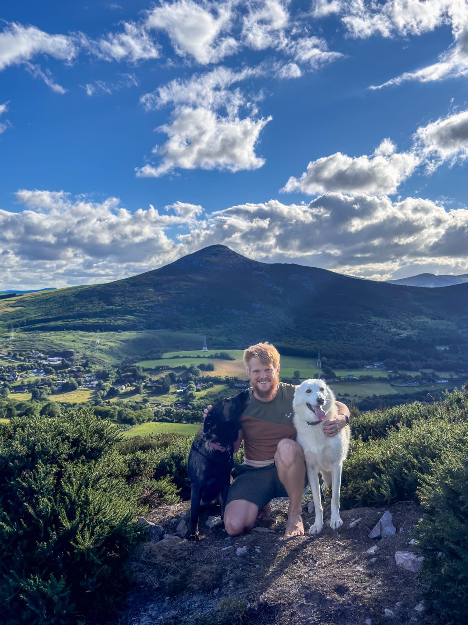 Dog training and care in a calm outdoor setting